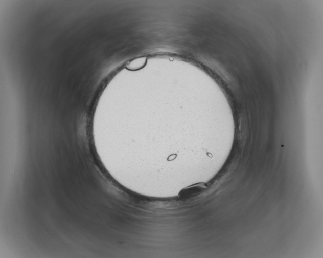 X0000111421404200908241123