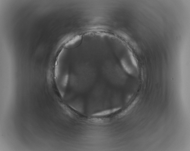 X0000111421405200908241123