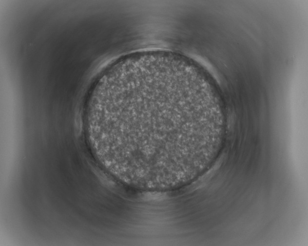 X0000111421407200908241123