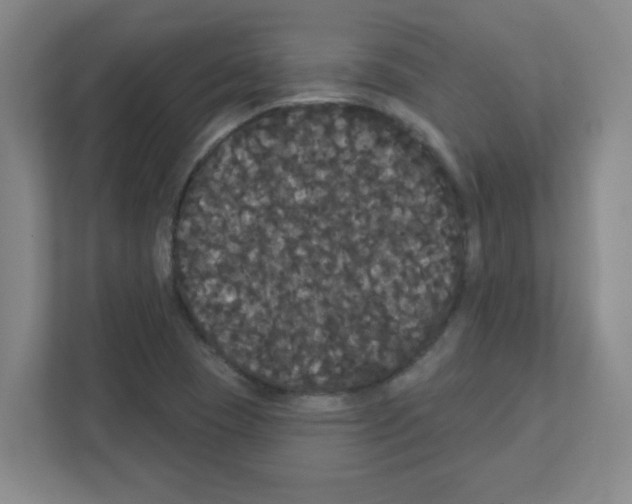 X0000111421409200908241123