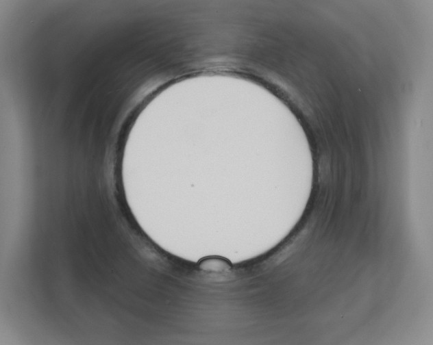 X0000111421410200908241123