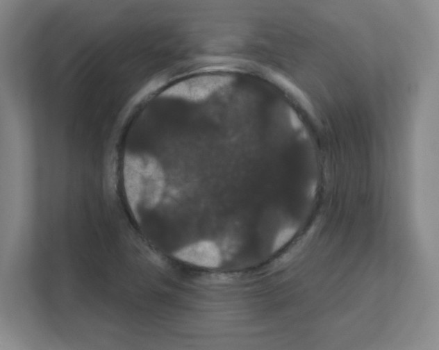 X0000111421411200908241123