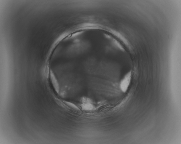 X0000111421413200908241123