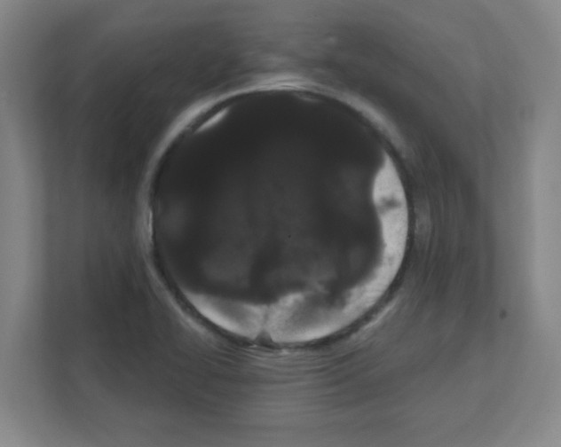 X0000111421414200908241123