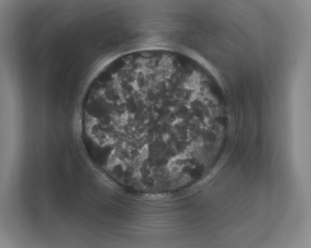 X0000111421415200908241123