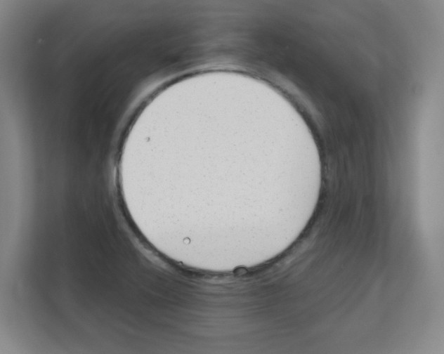 X0000111421416200908241123