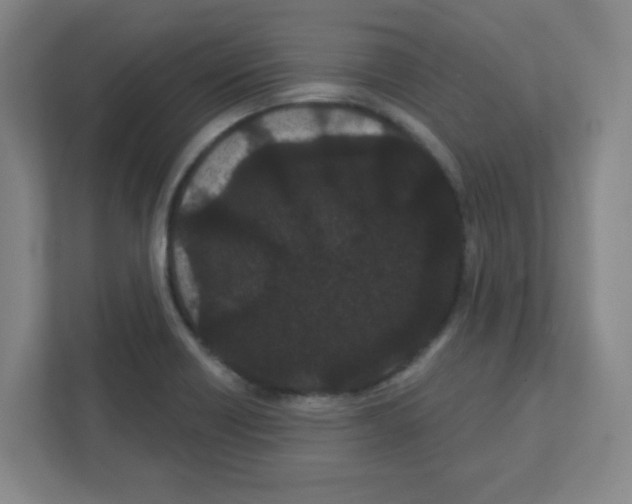 X0000111421418200908241123