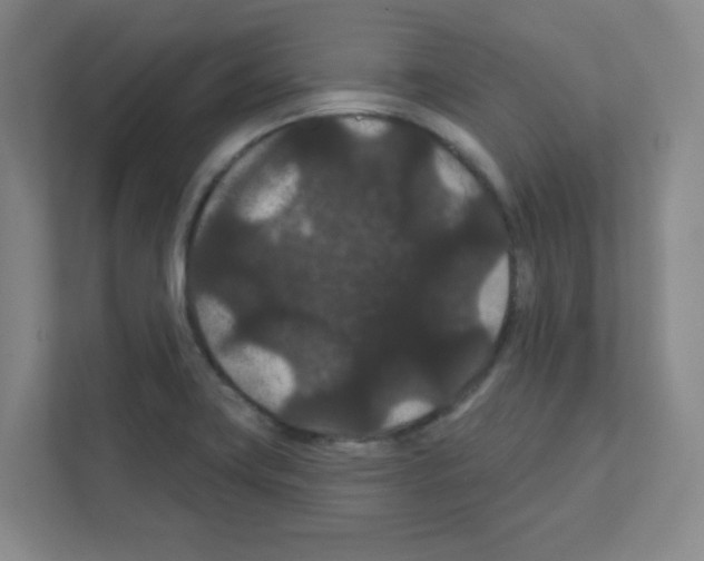 X0000111421419200908241123