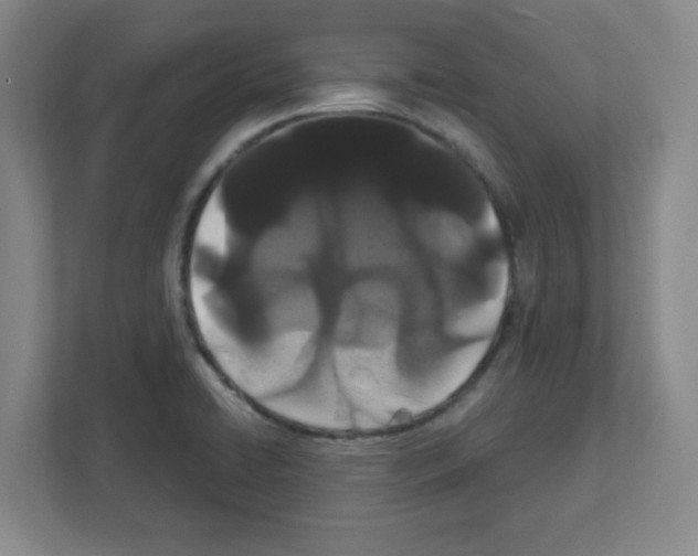X0000111421422200908241123