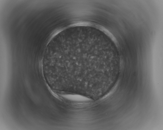 X0000111421425200908241123