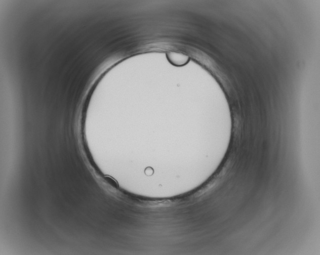 X0000111421426200908241123