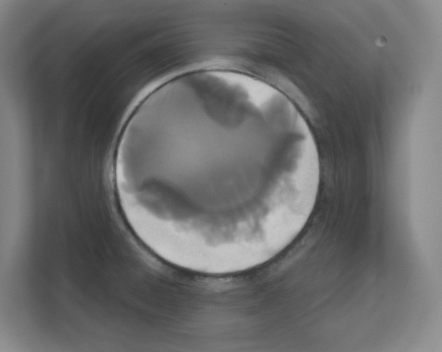 X0000111421428200908241123