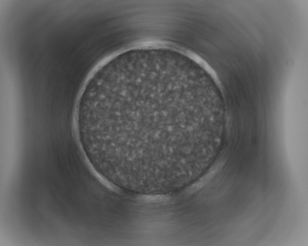 X0000111421429200908241123