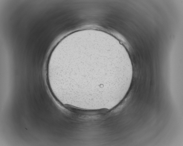 X0000111421430200908241123