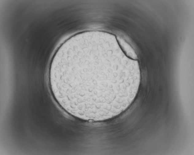 X0000111421432200908241123