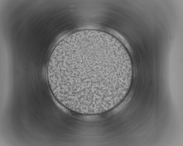 X0000111421433200908241123