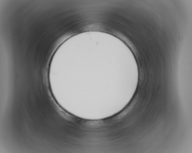 X0000111421434200908241123
