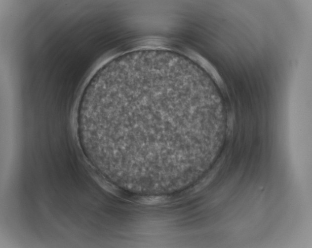 X0000111421435200908241123