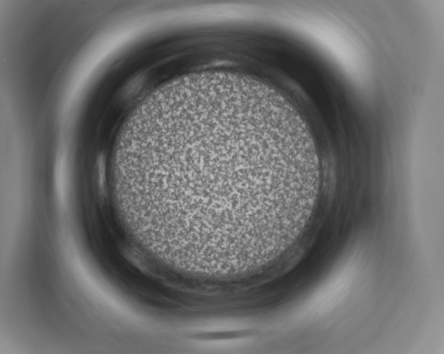 X0000111421439200908241123