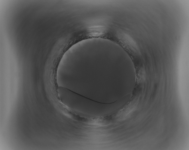X0000111421441200908241122