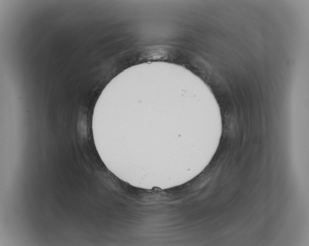 X0000111421442200908241122