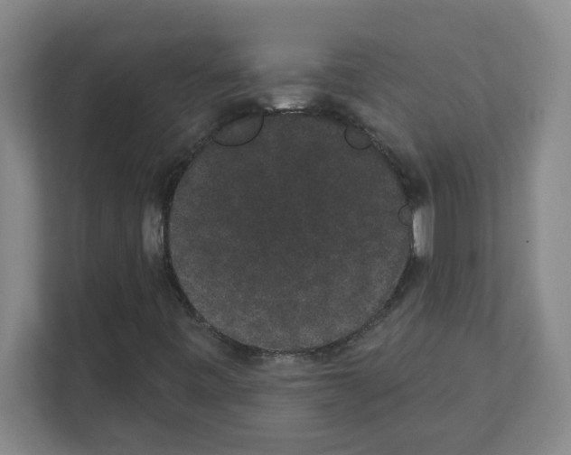 X0000111421443200908241122