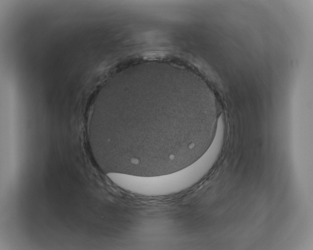 X0000111421445200908241122