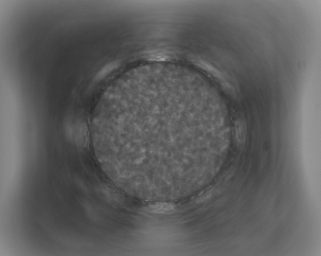X0000111421446200908241122