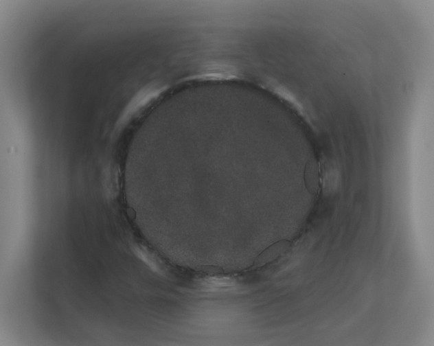 X0000111421448200908241122