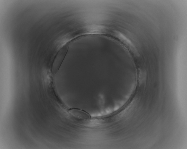 X0000111421449200908241122