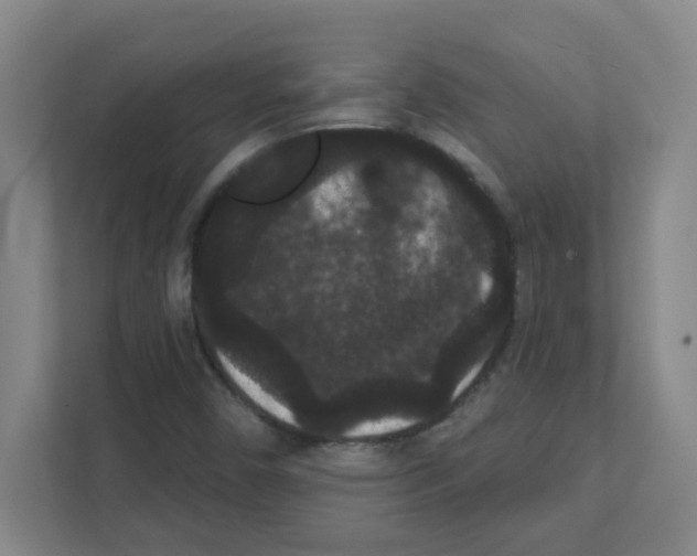 X0000111421450200908241122