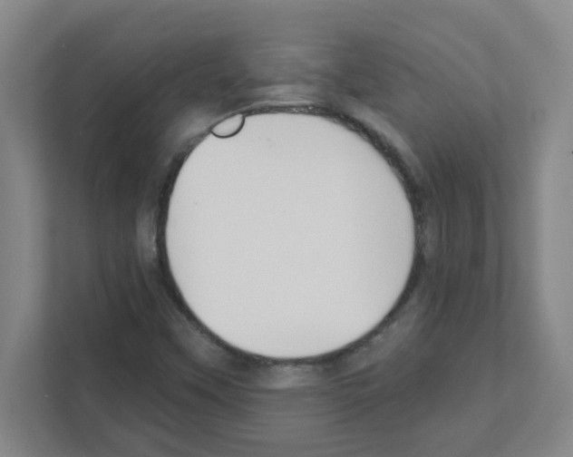 X0000111421451200908241122