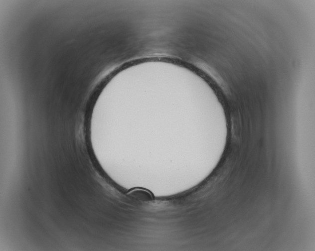 X0000111421452200908241122