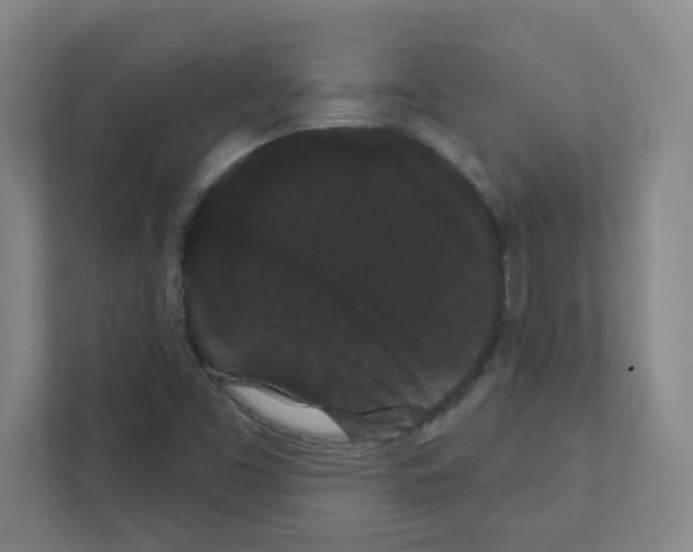 X0000111421453200908241122