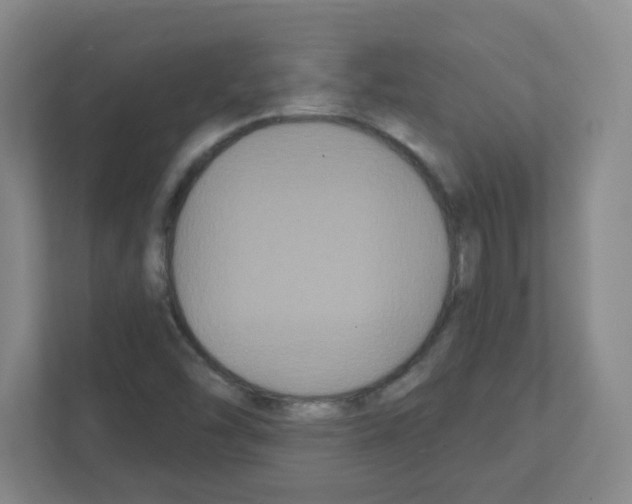 X0000111421454200908241122