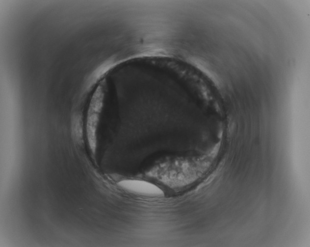 X0000111421455200908241122