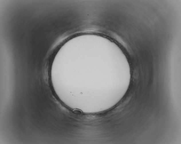 X0000111421456200908241122