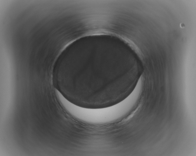 X0000111421457200908241122
