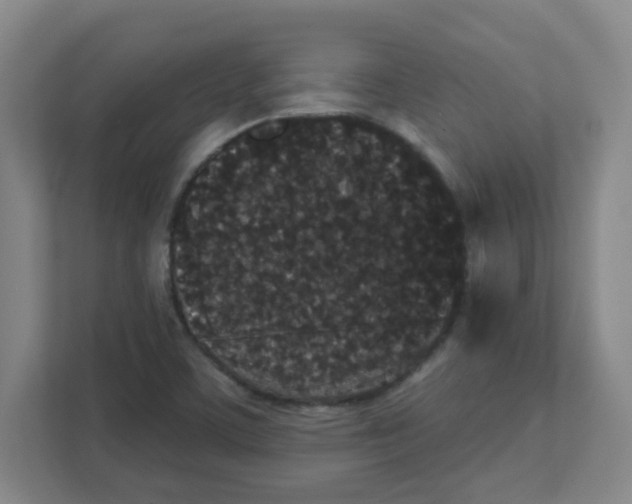 X0000111421459200908241122