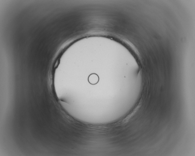 X0000111421461200908241122