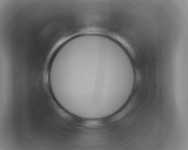 X0000111421462200908241122