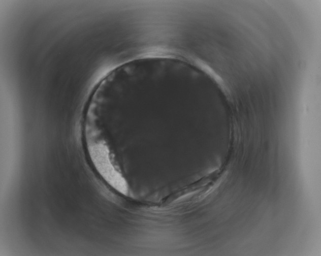 X0000111421463200908241122