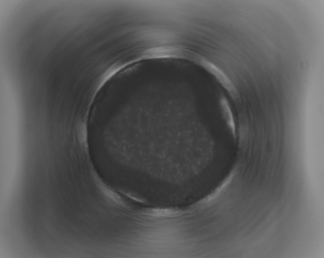 X0000111421465200908241122