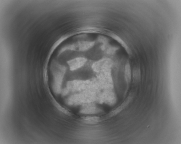X0000111421466200908241122
