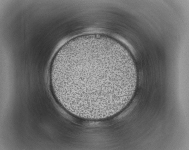 X0000111421467200908241122