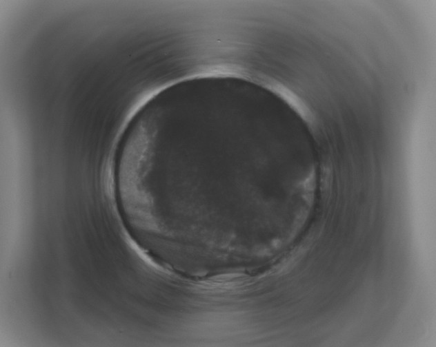 X0000111421468200908241122