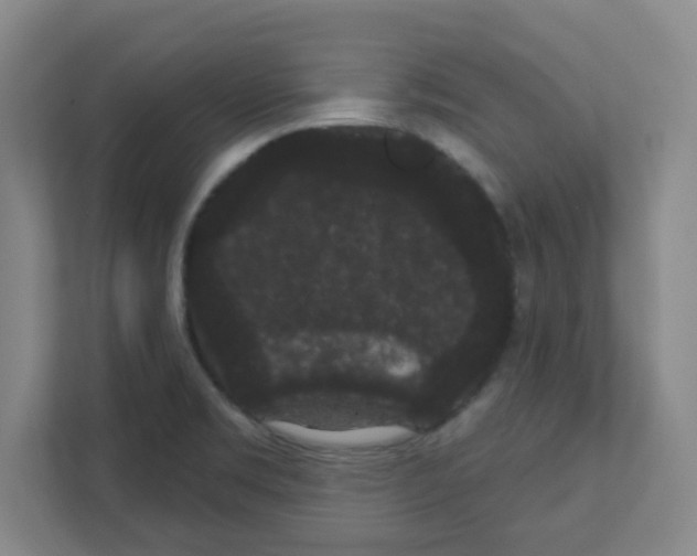 X0000111421469200908241122