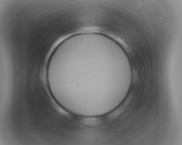 X0000111421470200908241122