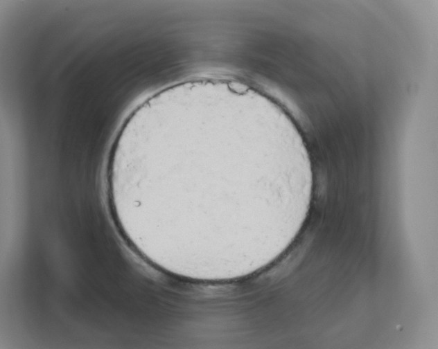X0000111421471200908241122