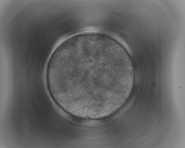 X0000111421475200908241122